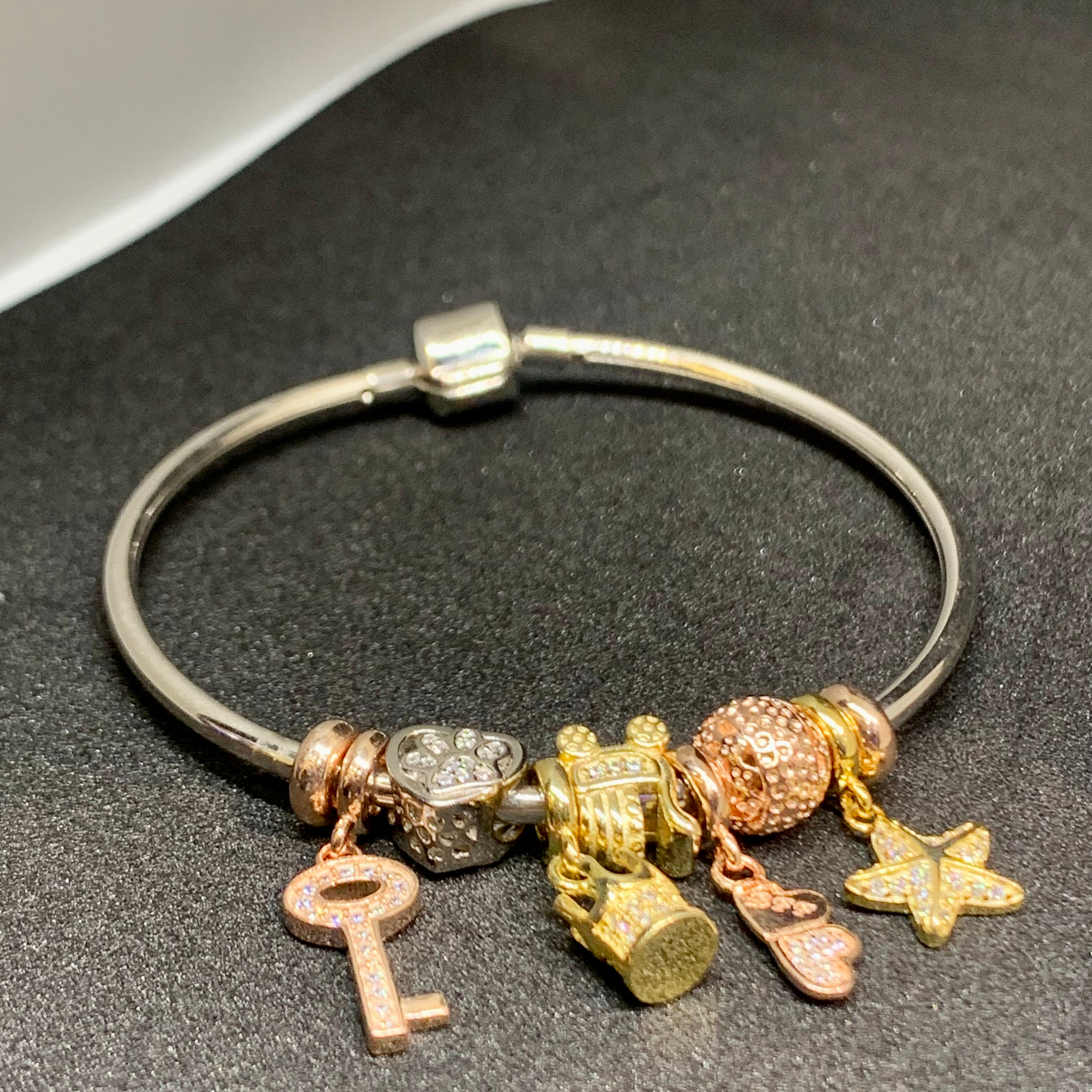 Pandora Bangle With Charms